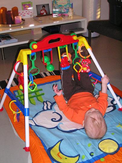 Imme 26 november 2006 (2).JPG
